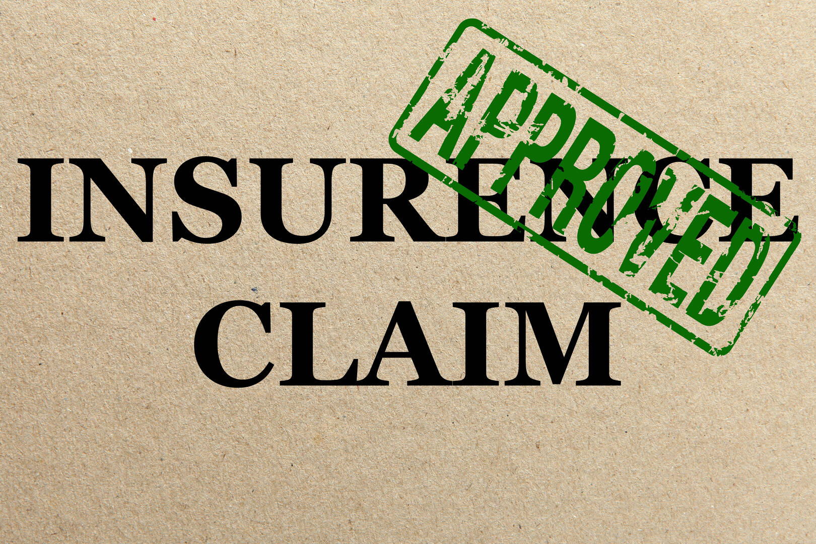 First Florida Insurance logo