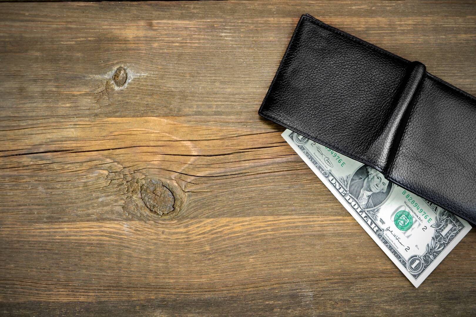 Paycheck Loans logo